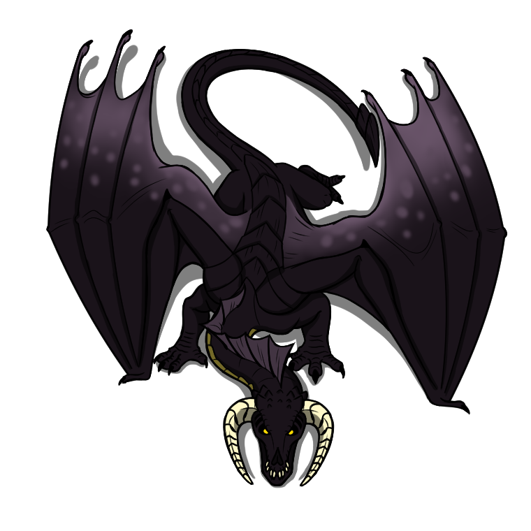 Black Dragon by Hammertheshark